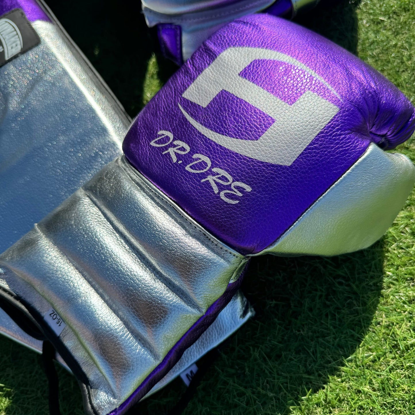 METALLIC PURPLE & SILVER | BOXING GLOVES & SPARRING SET | 100% LEATHER