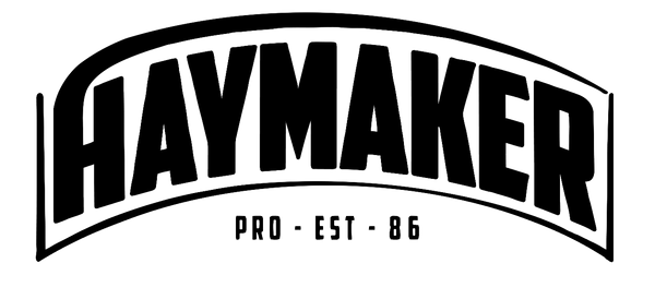 HAYMAKER BOXING 2